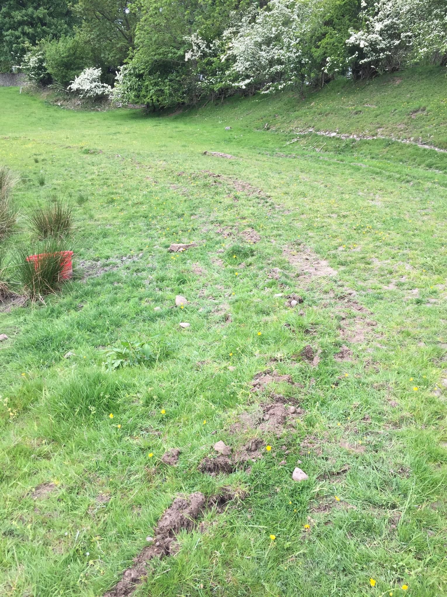 barbon swamp