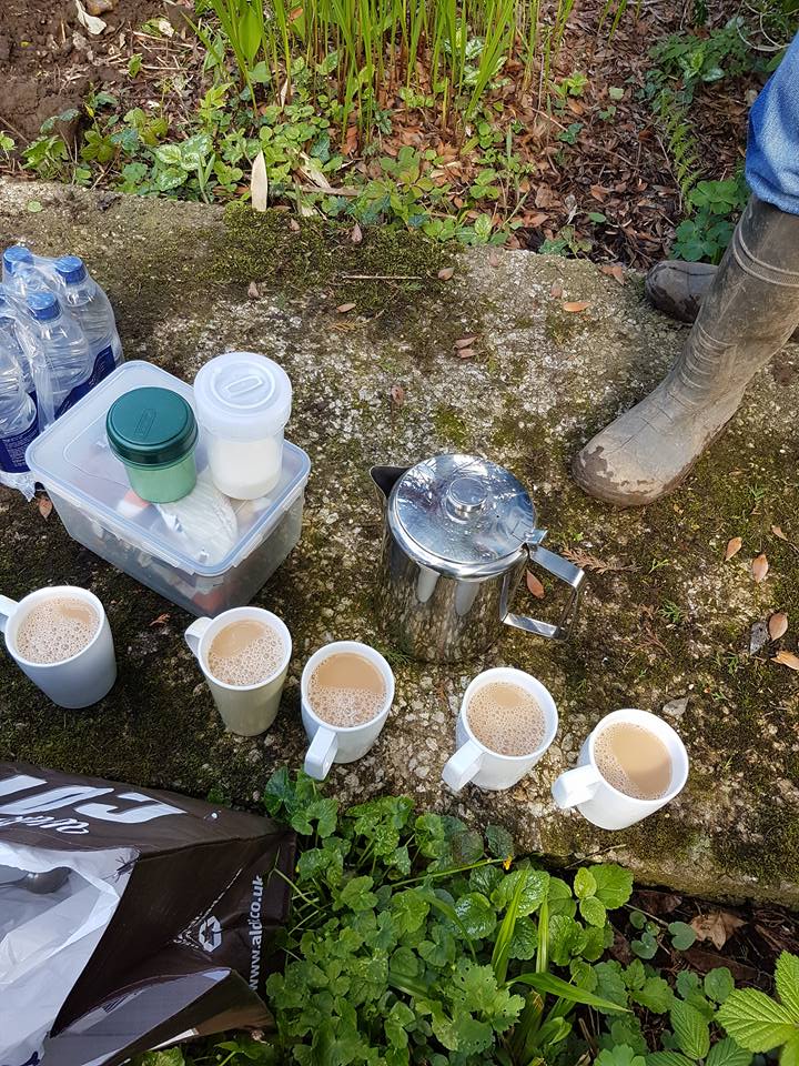 brookhouse tea