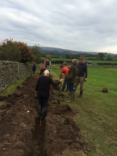 burrow dig