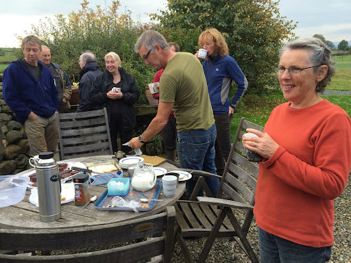 burrow tea