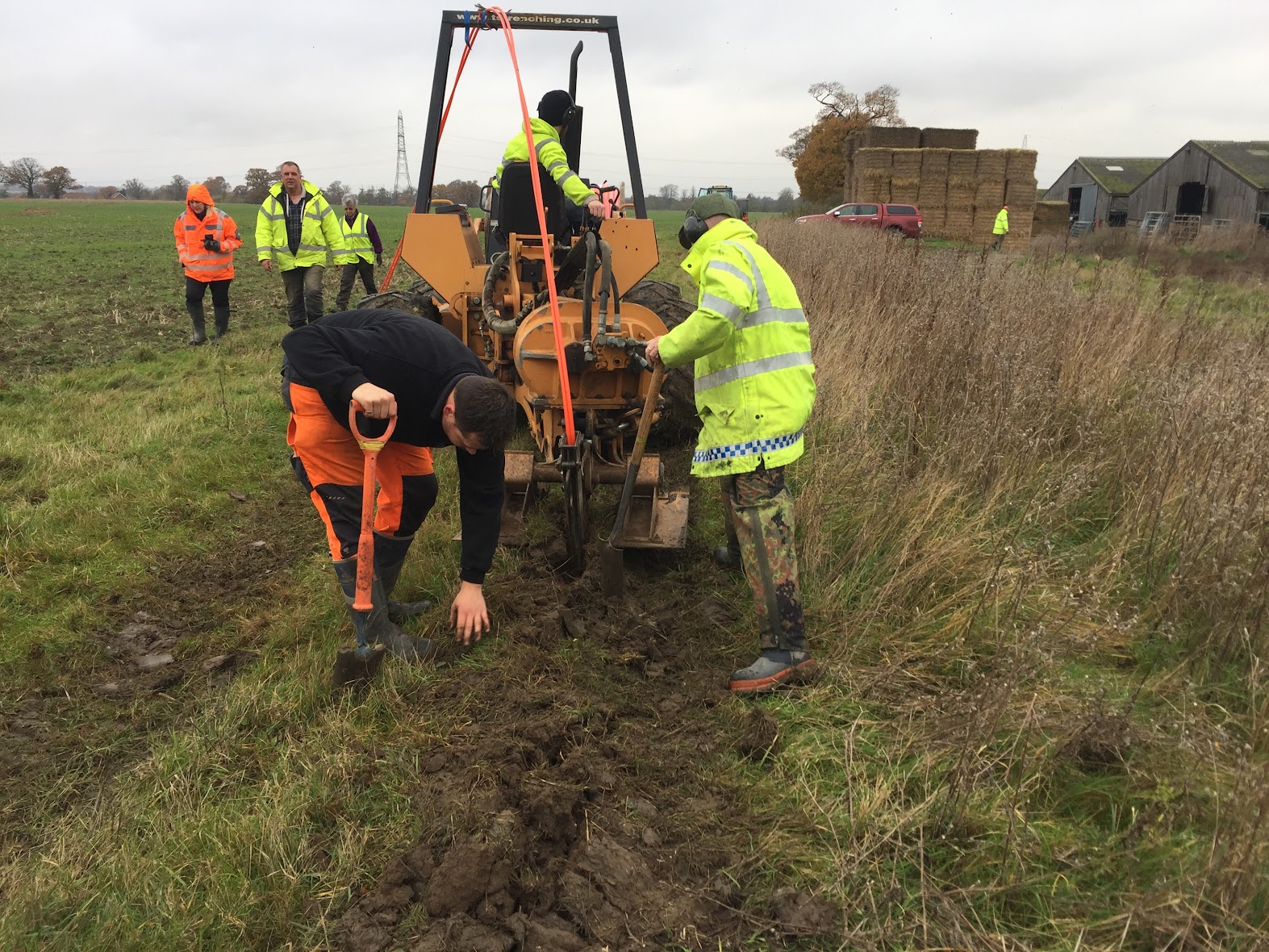 burston mole