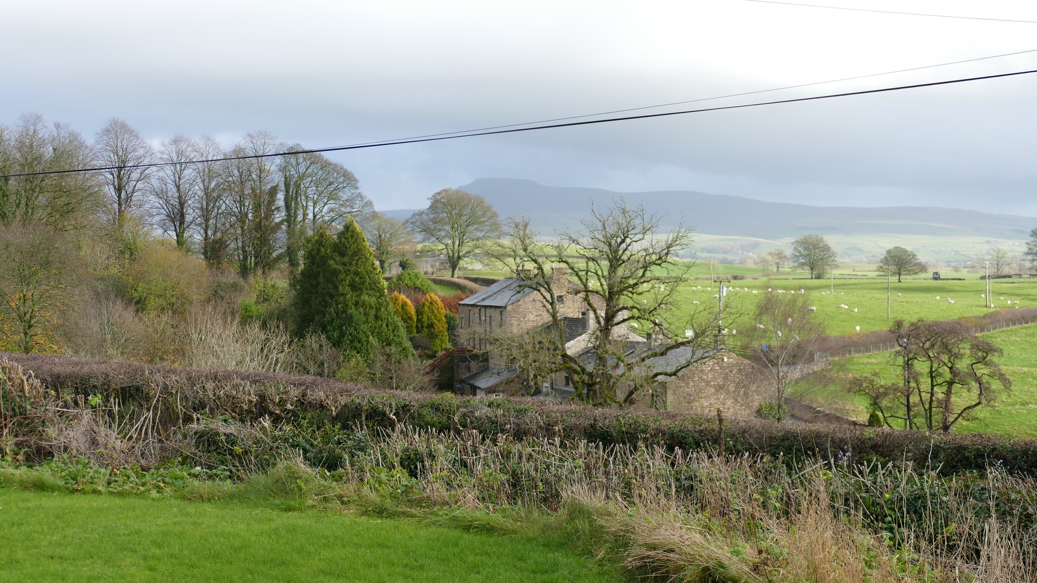 burton view
