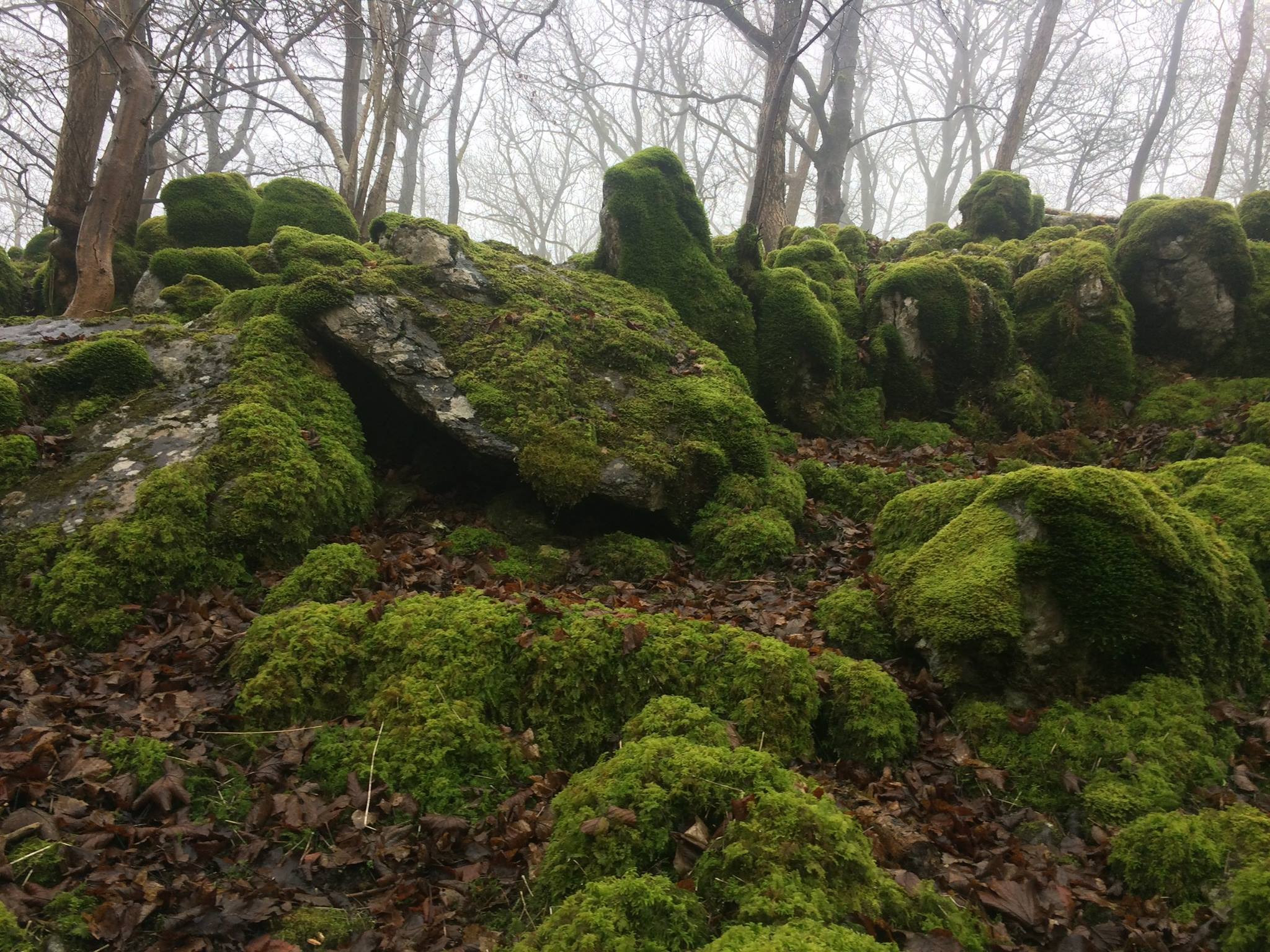 chapel more rocks