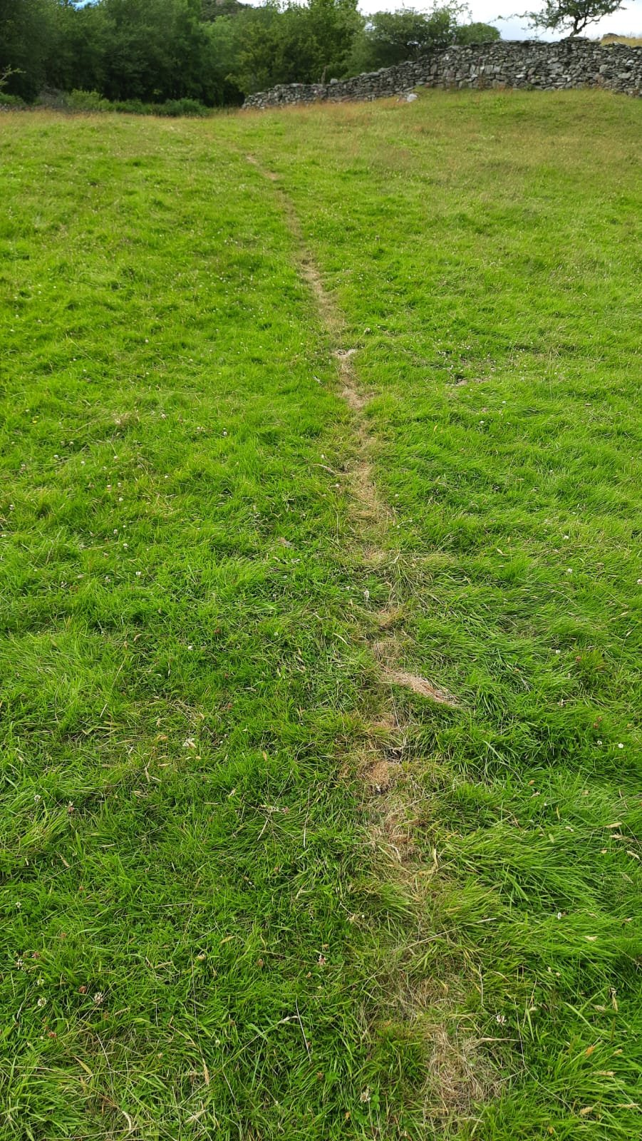 cross dig
