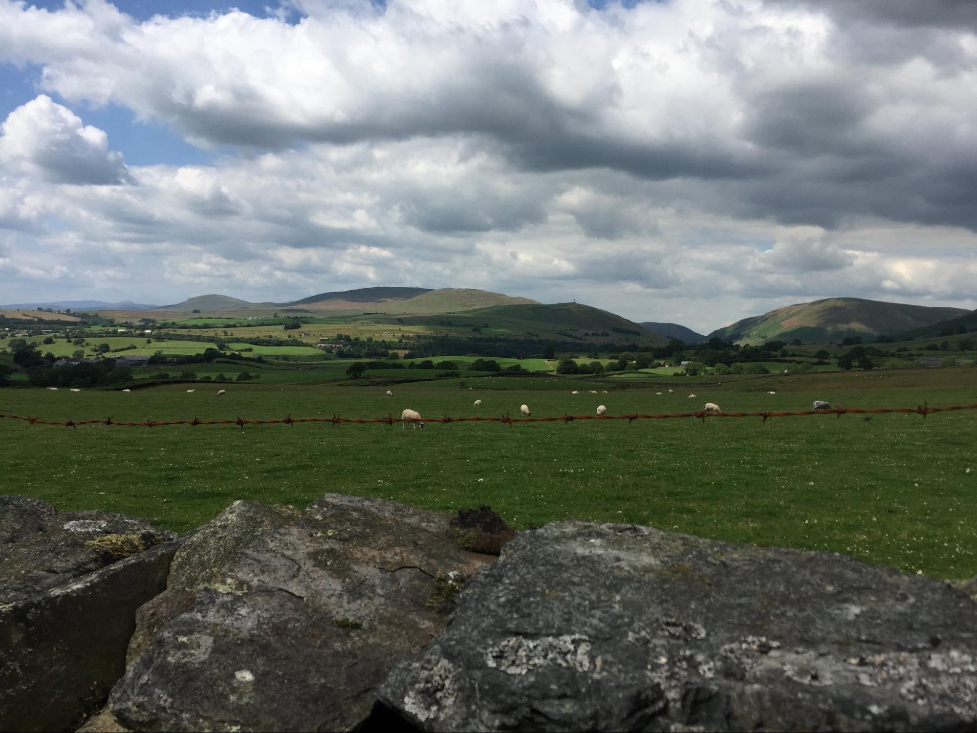 image11