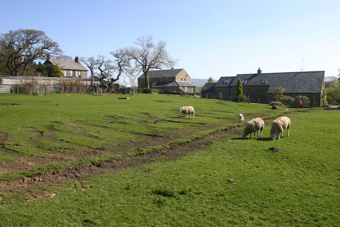 image11