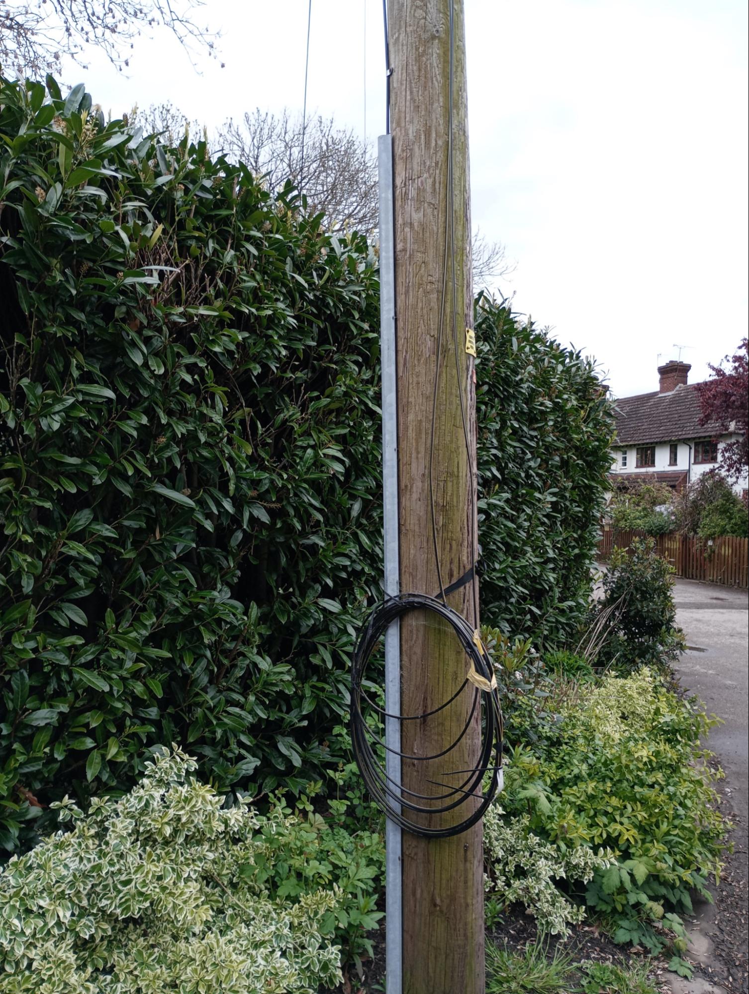 image11