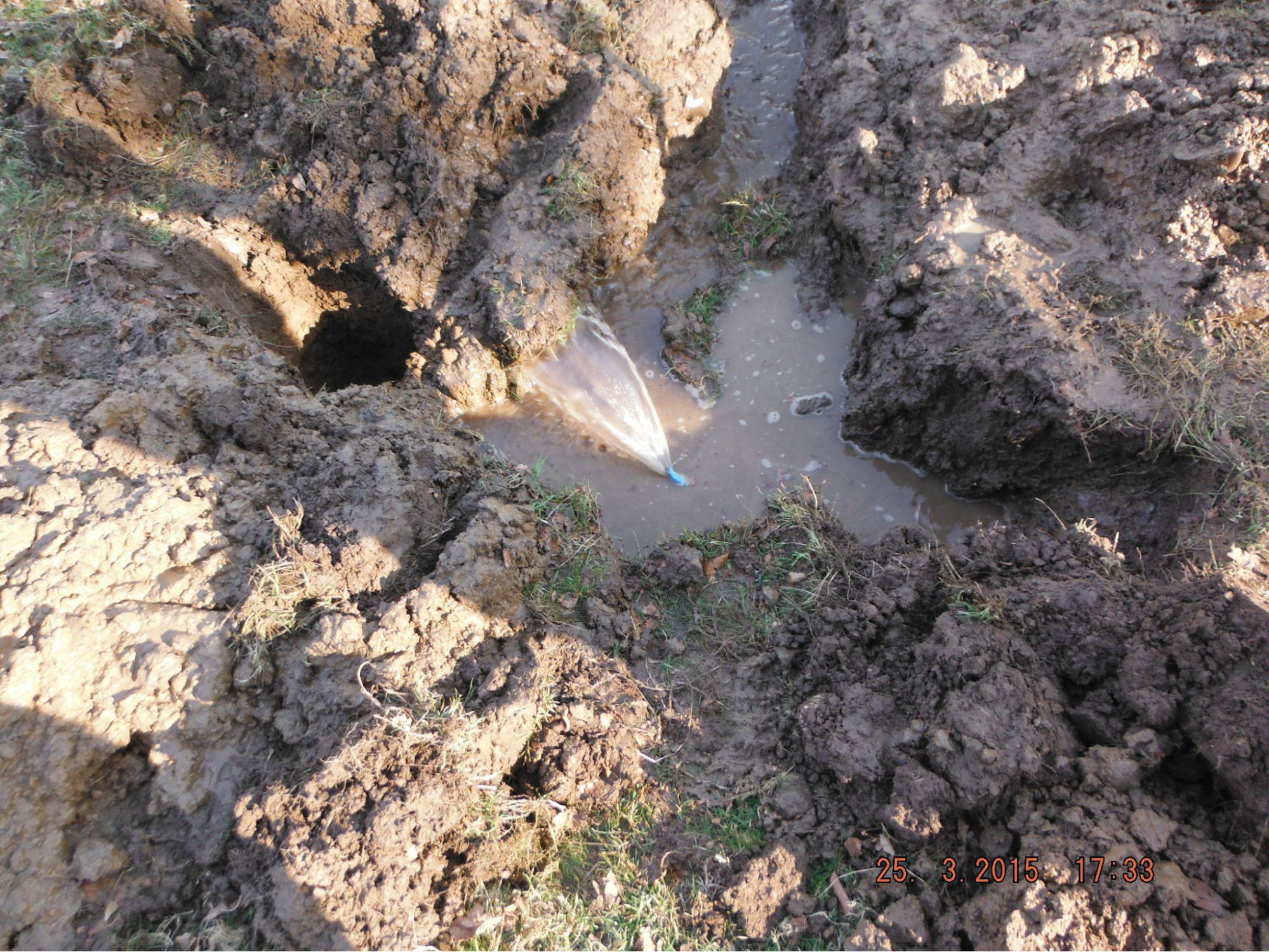 image113