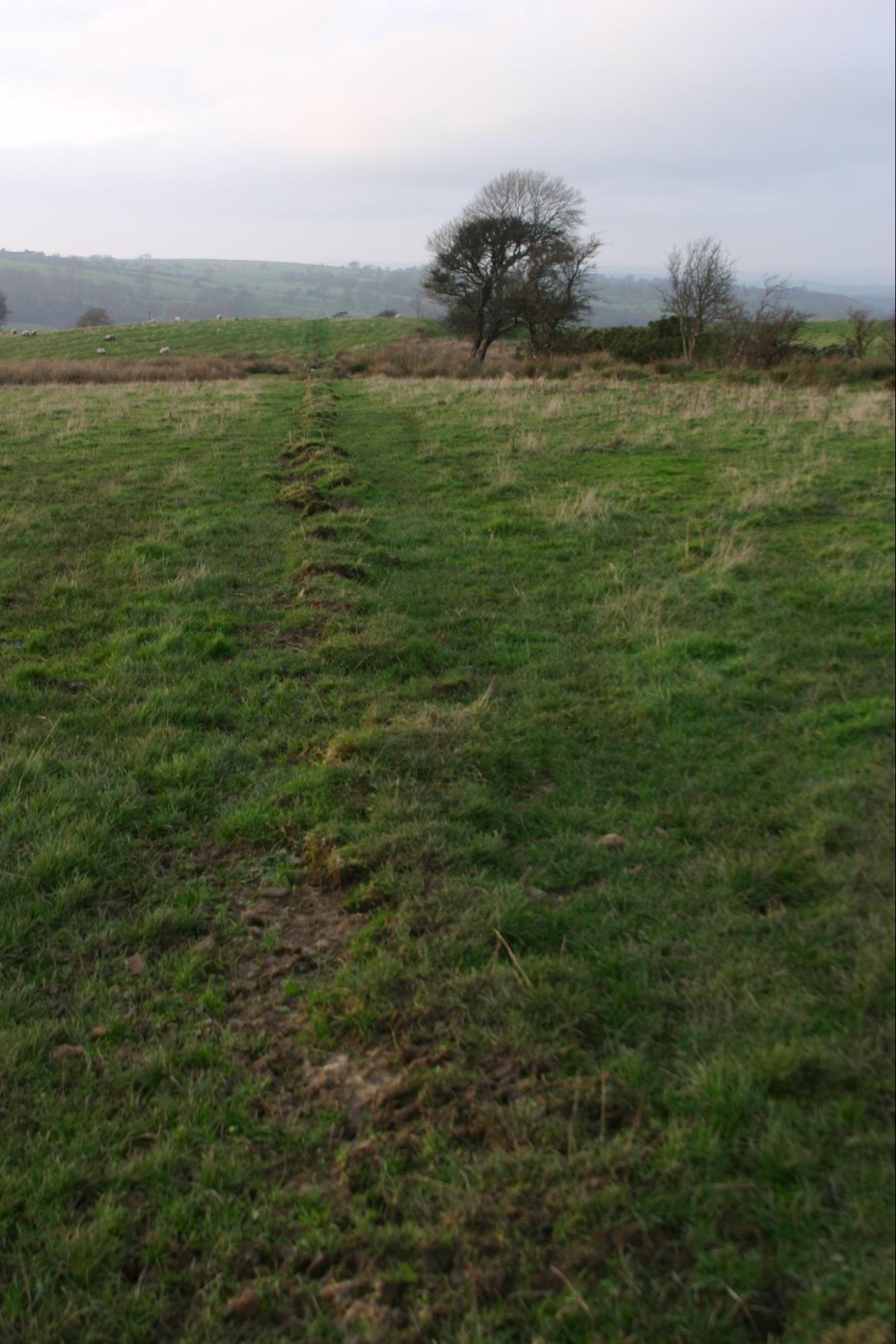 image118
