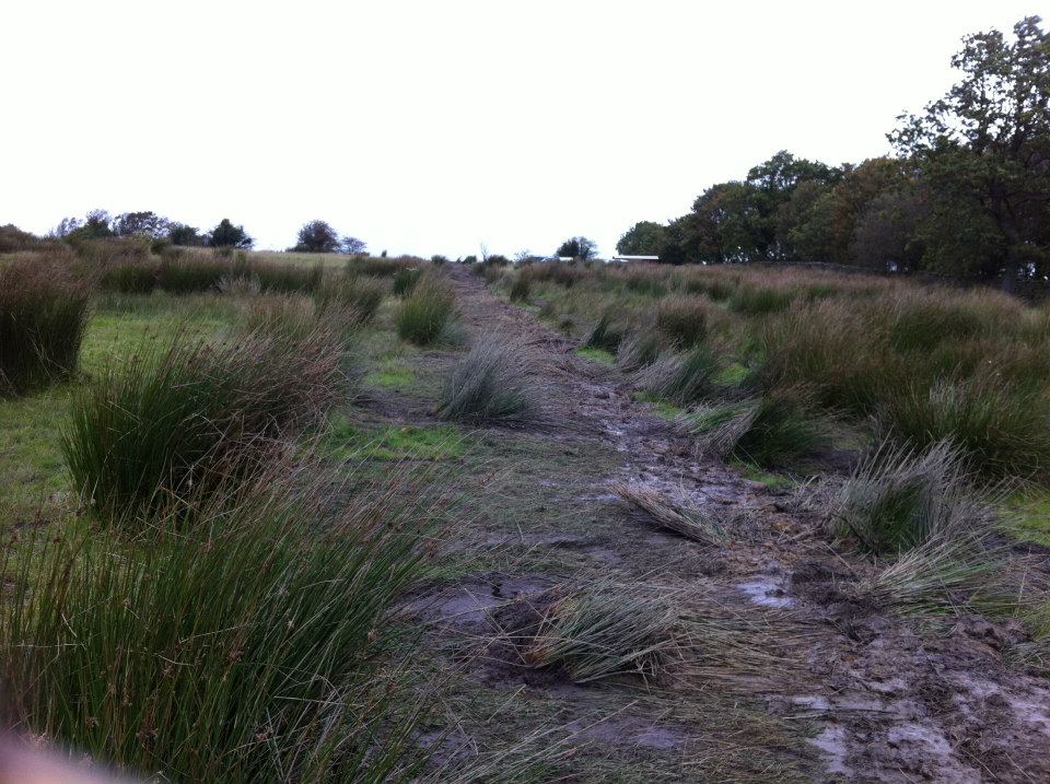 image12