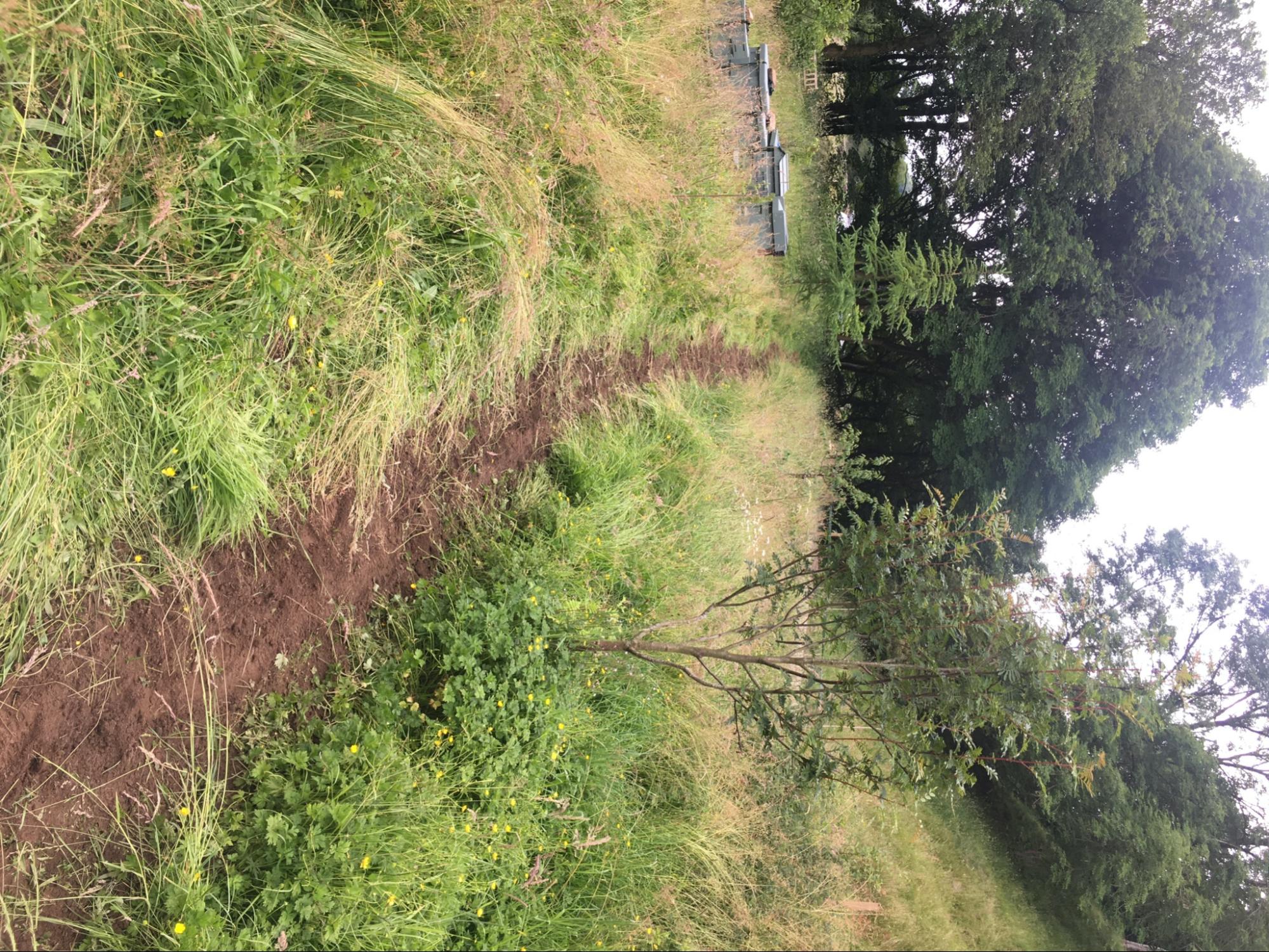 image129