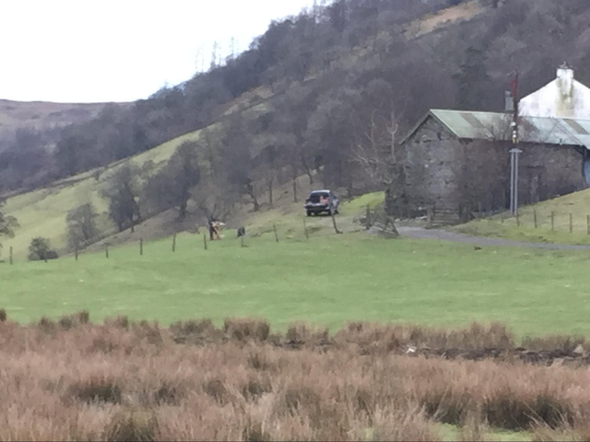 image13