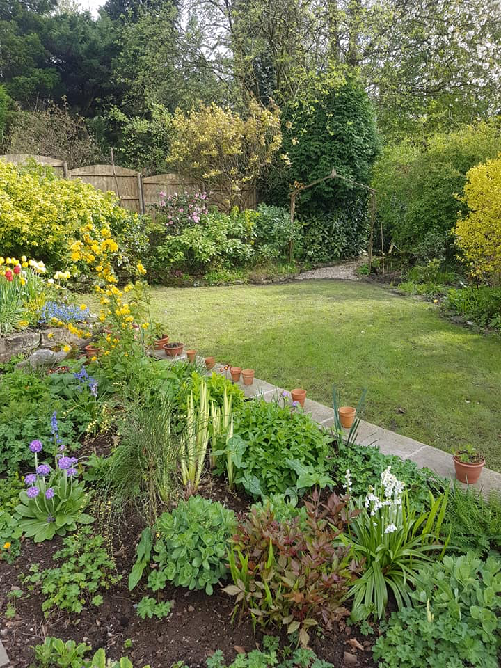 image21
