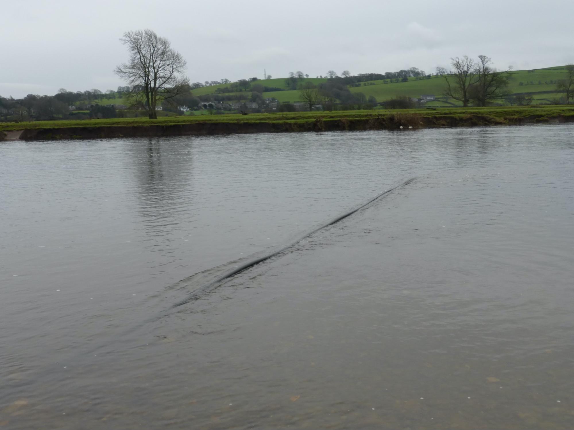 image21