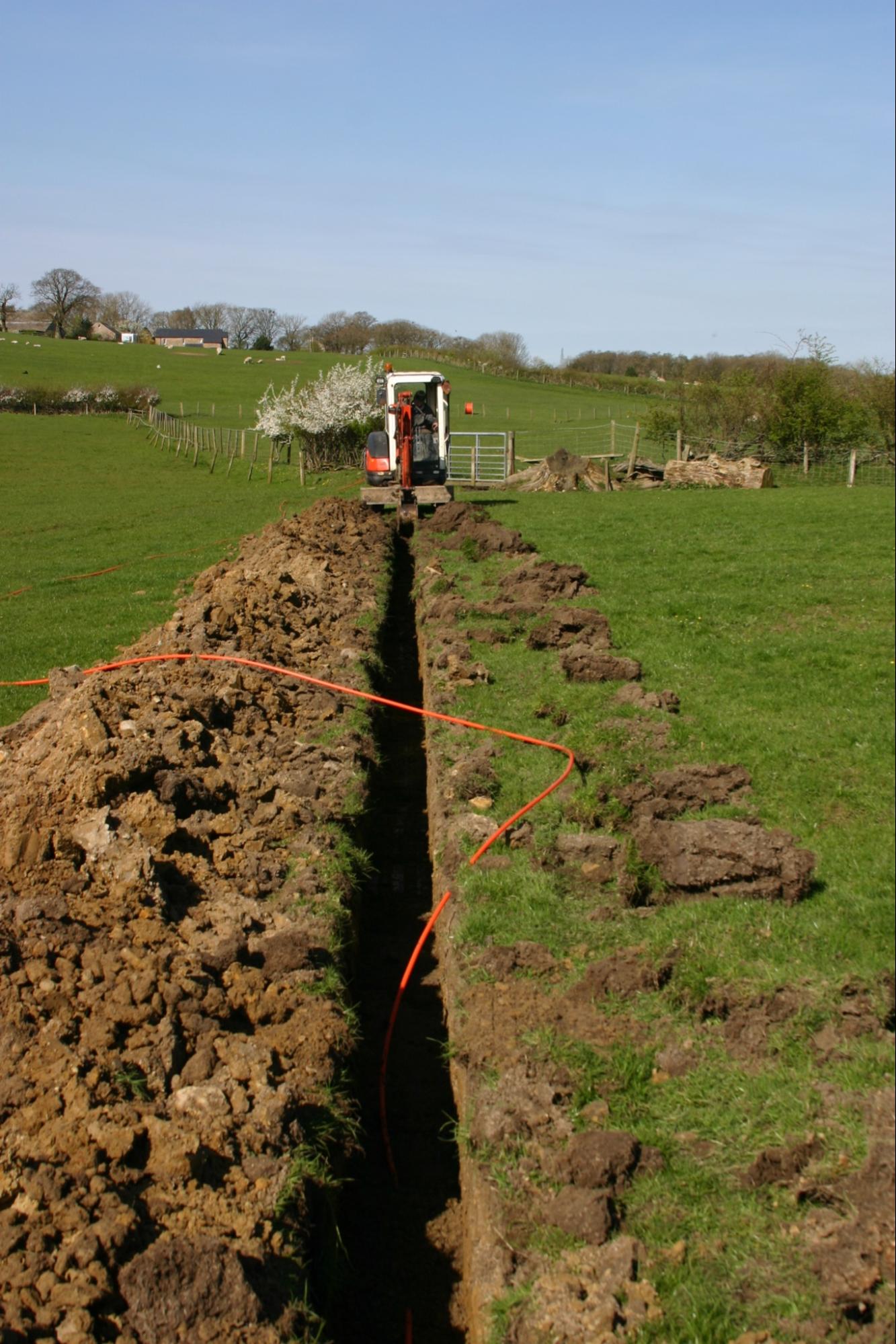 image25
