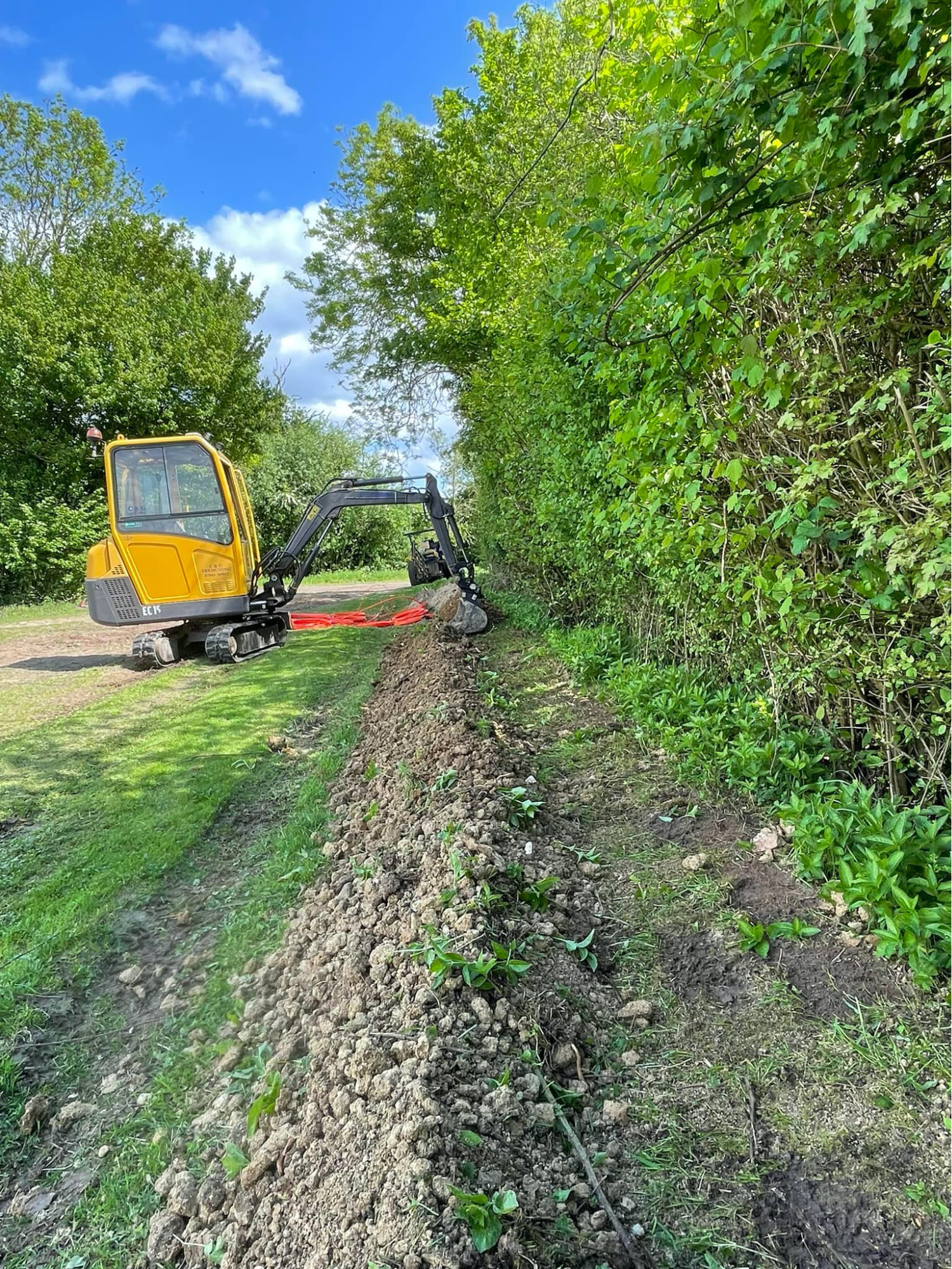 image31