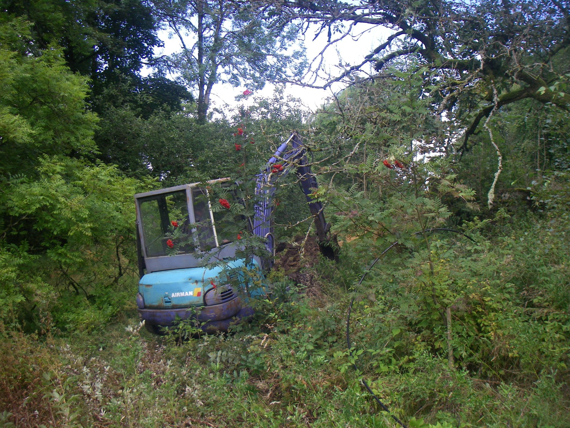 image55