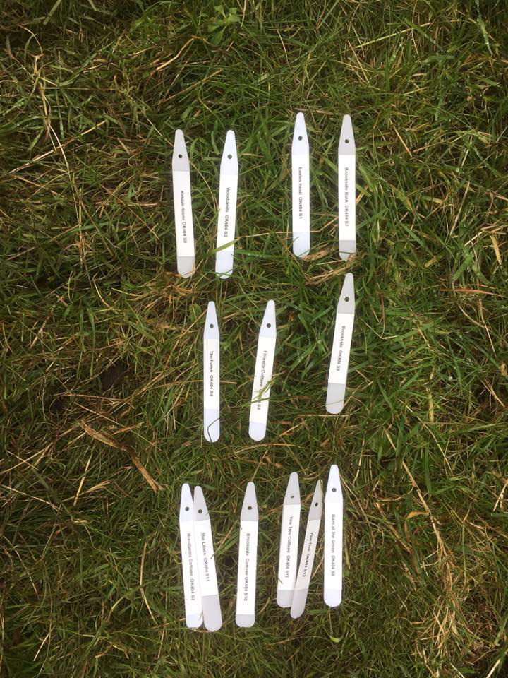 image81