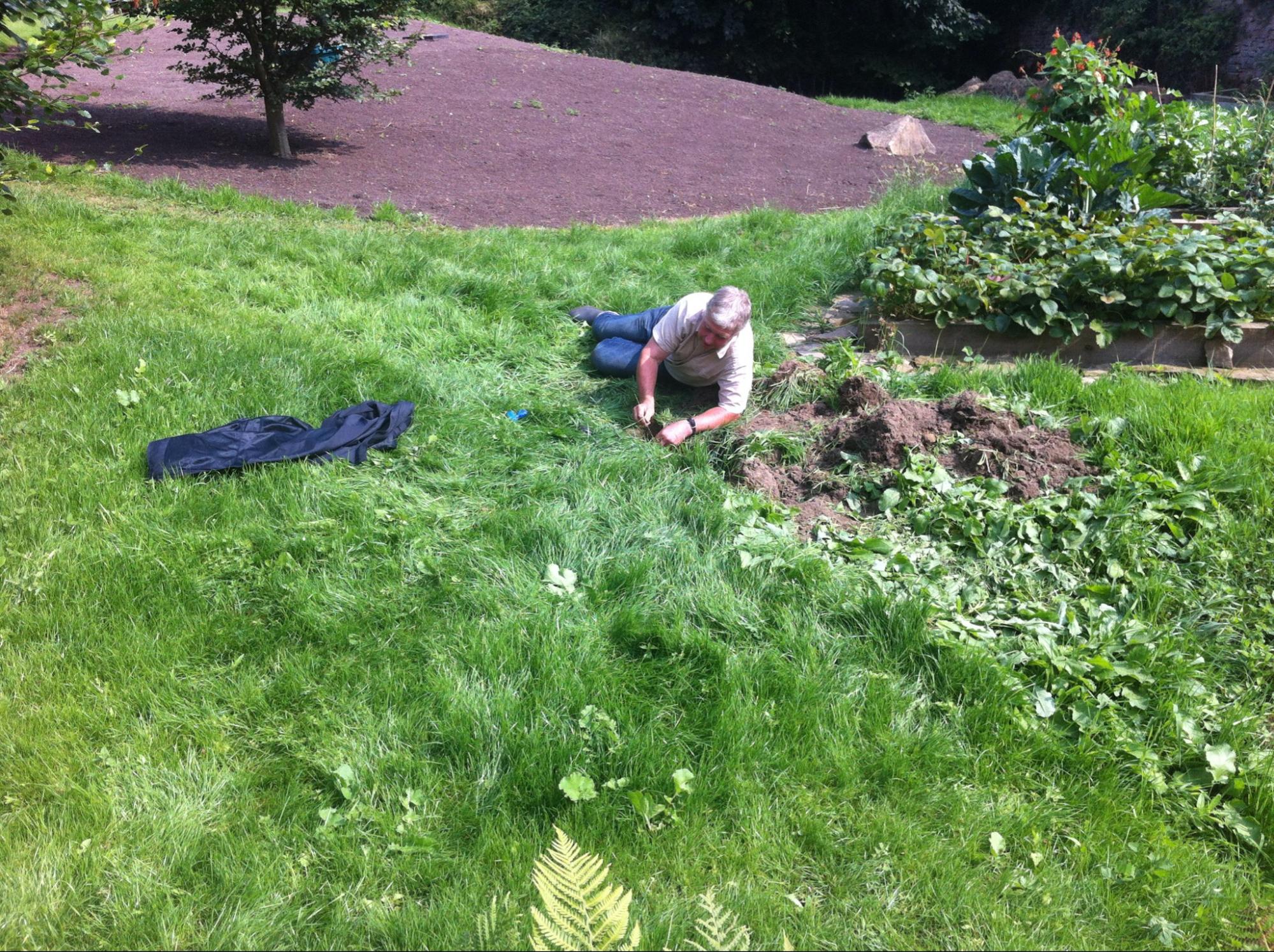 image87