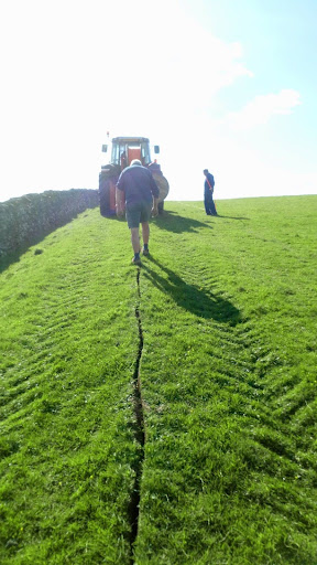 ingleton mole