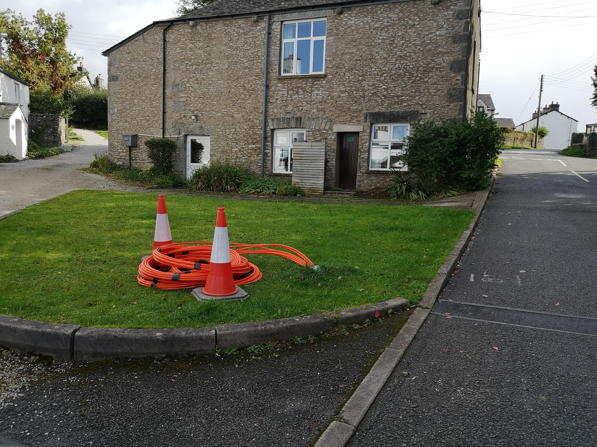 levens link