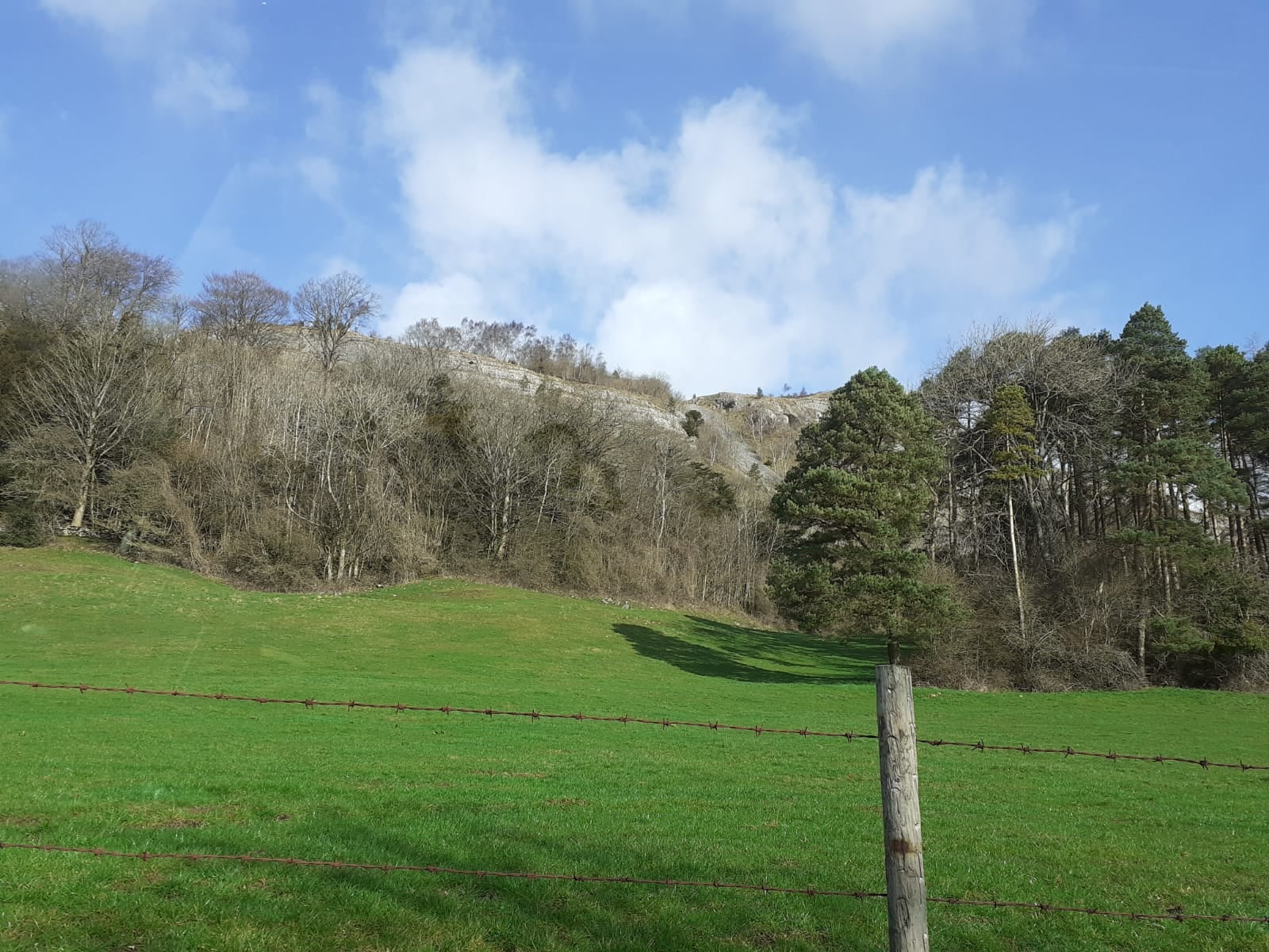 levens