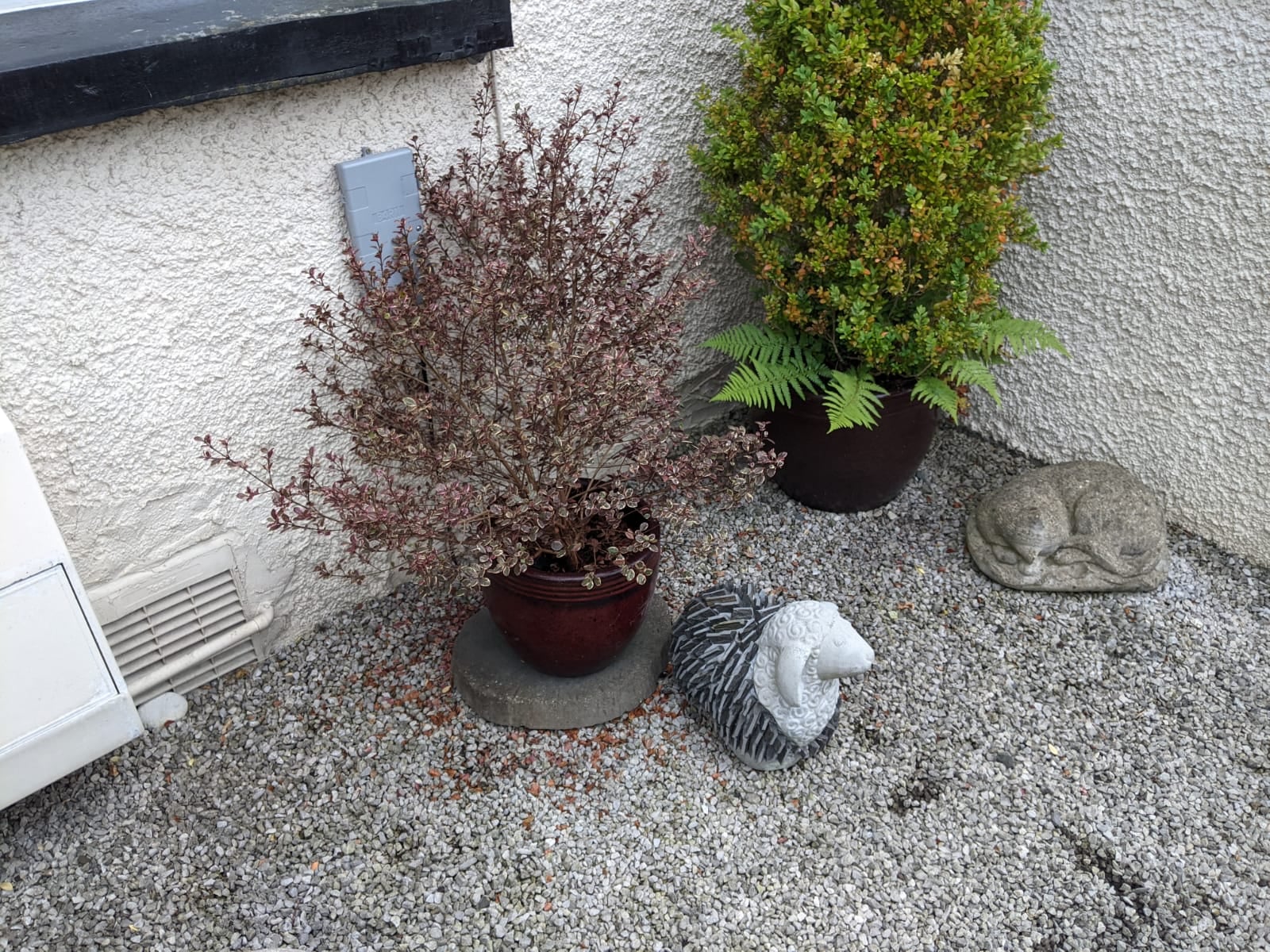 levens246