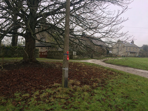 newby sign