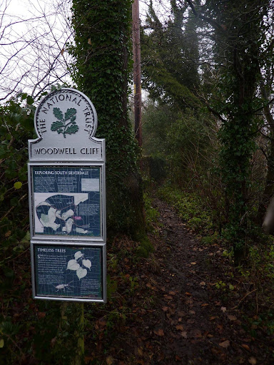 silverdale cliff