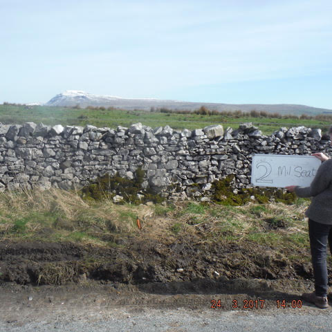 thornton seat