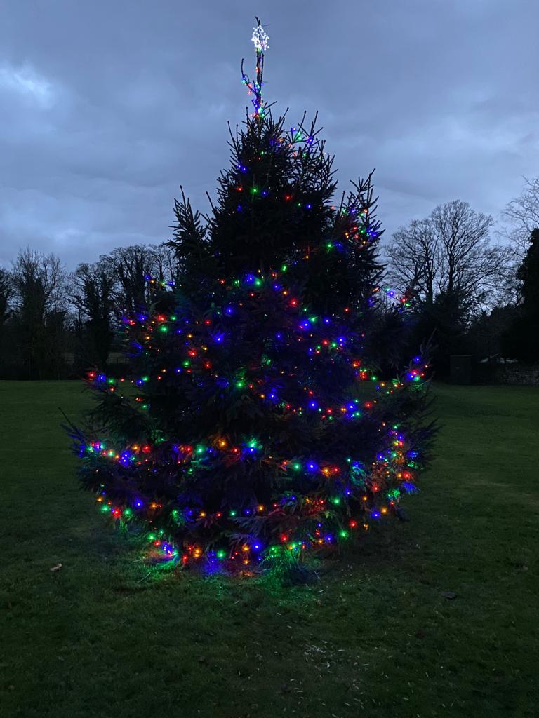 tree
