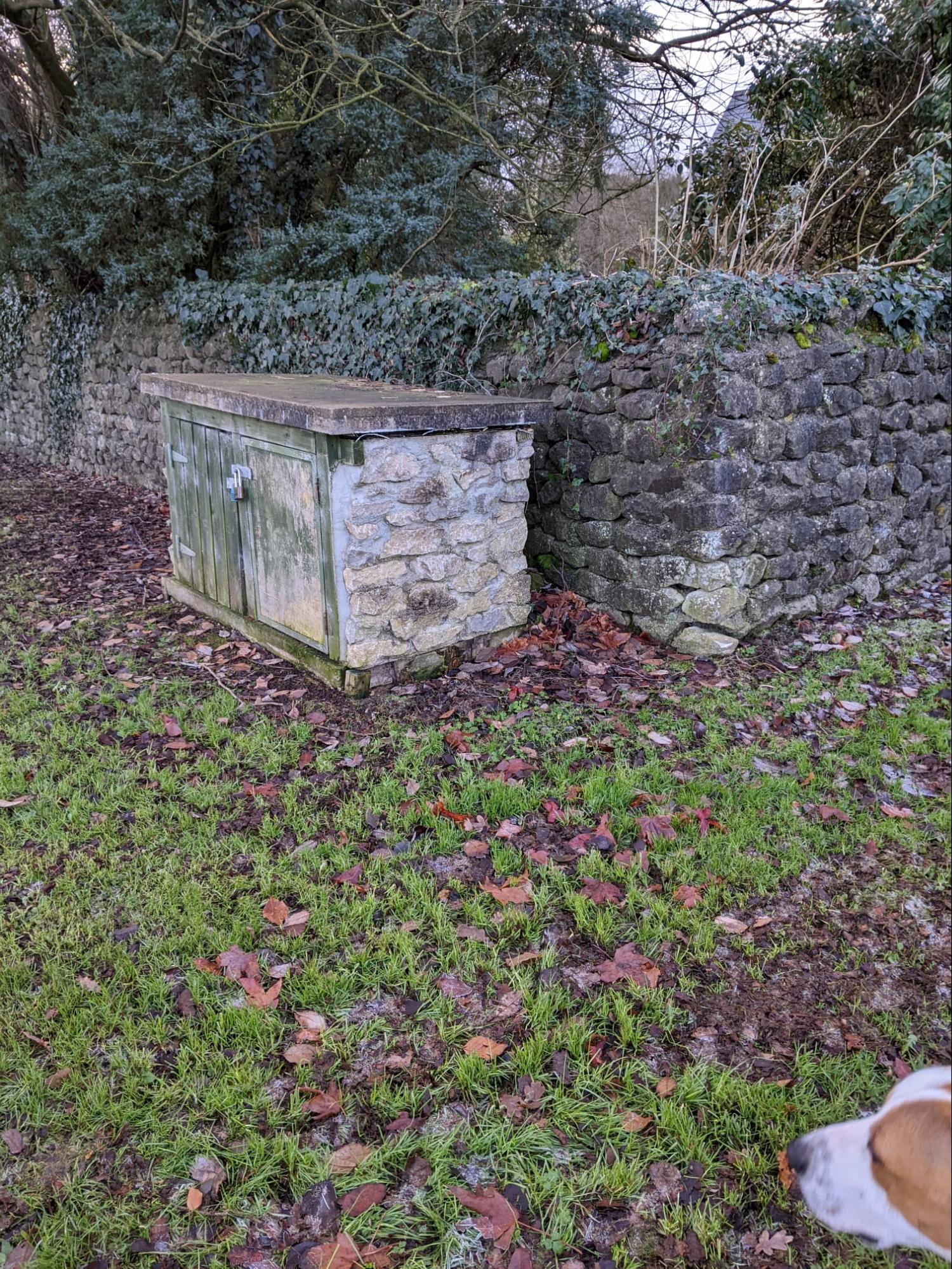 wen image52