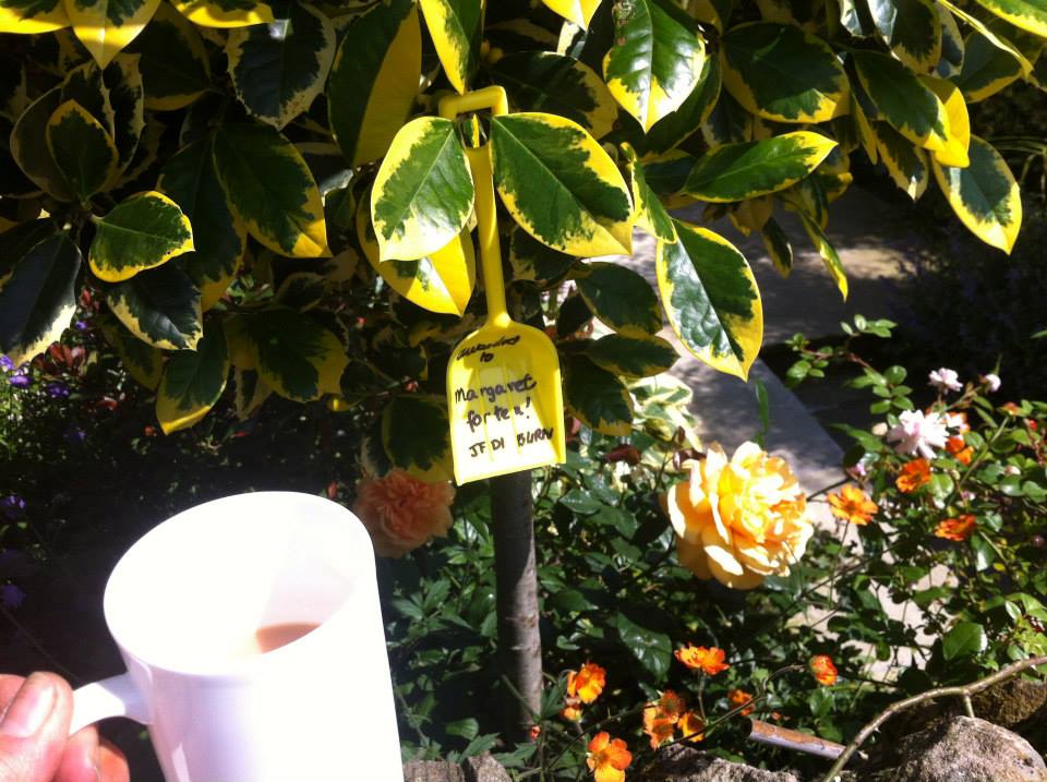 wennington marg spade